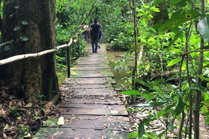 Descubre Chiapas 10 Días